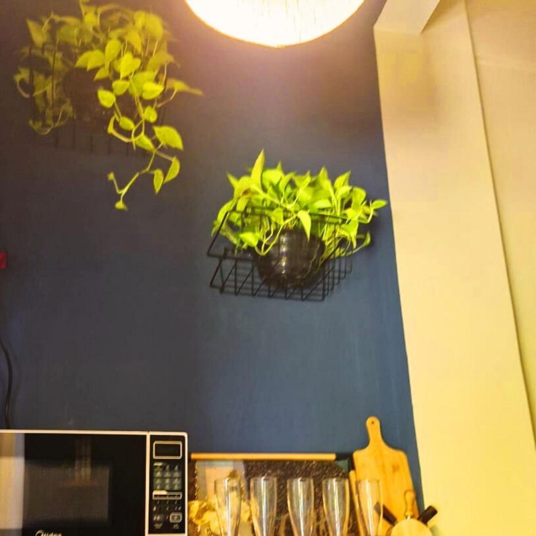 Готель Loft Do Quintal Серра Екстер'єр фото